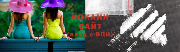 амф Богданович