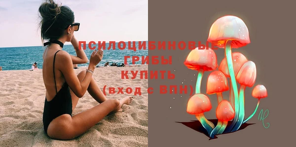 первитин Богородицк